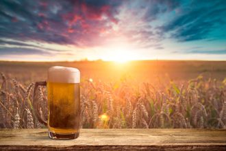 Mug of beer on table in sunny barley field. 